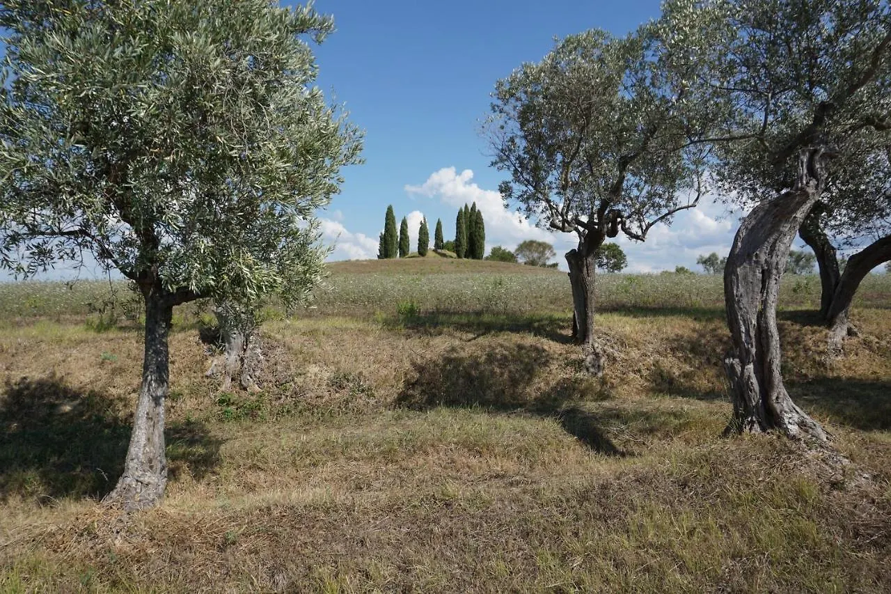 Agriturismo Cheloni Guasticce 0*,  Italië