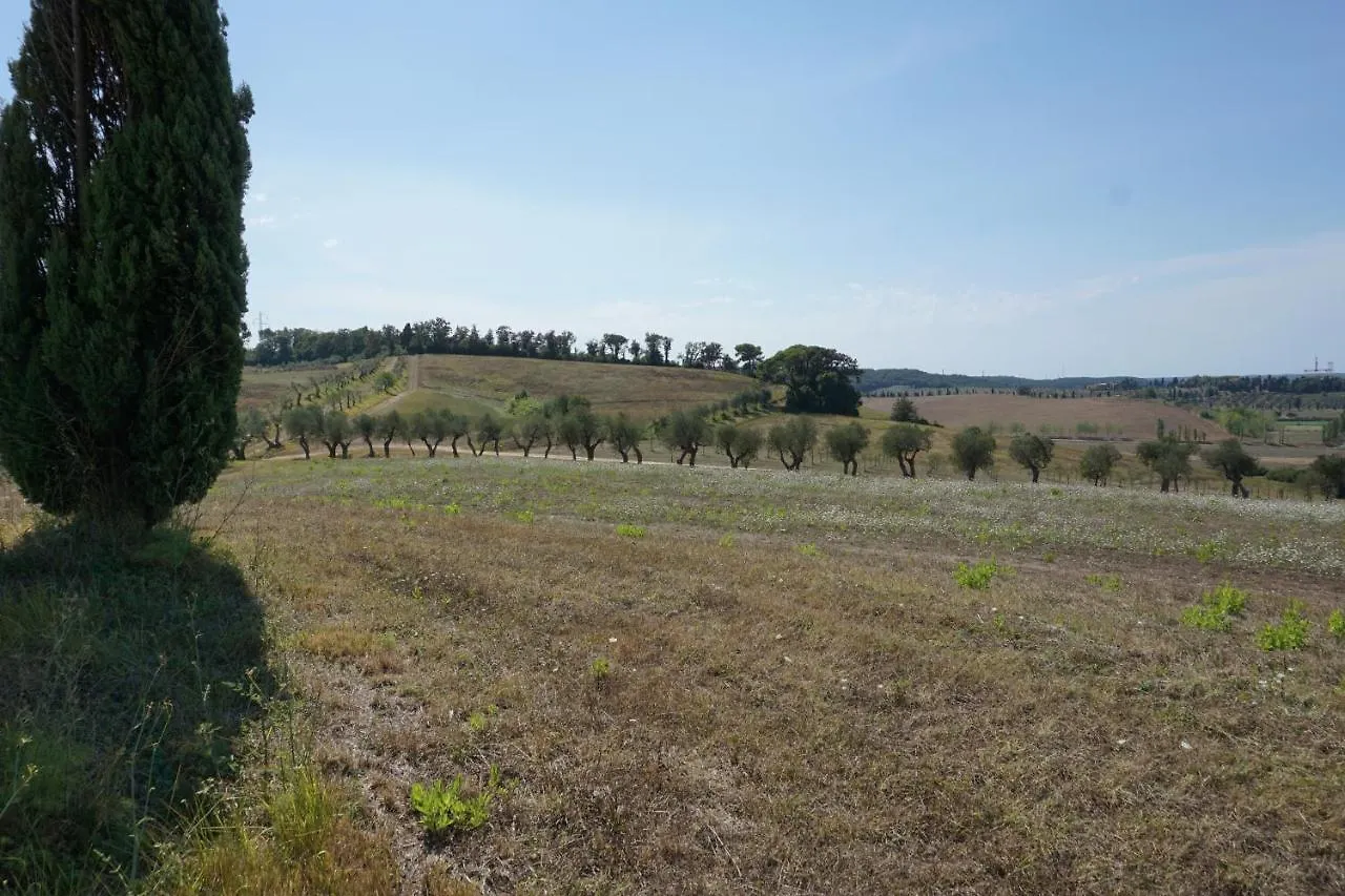 Agriturismo Cheloni Guasticce Vakantieboerderij
