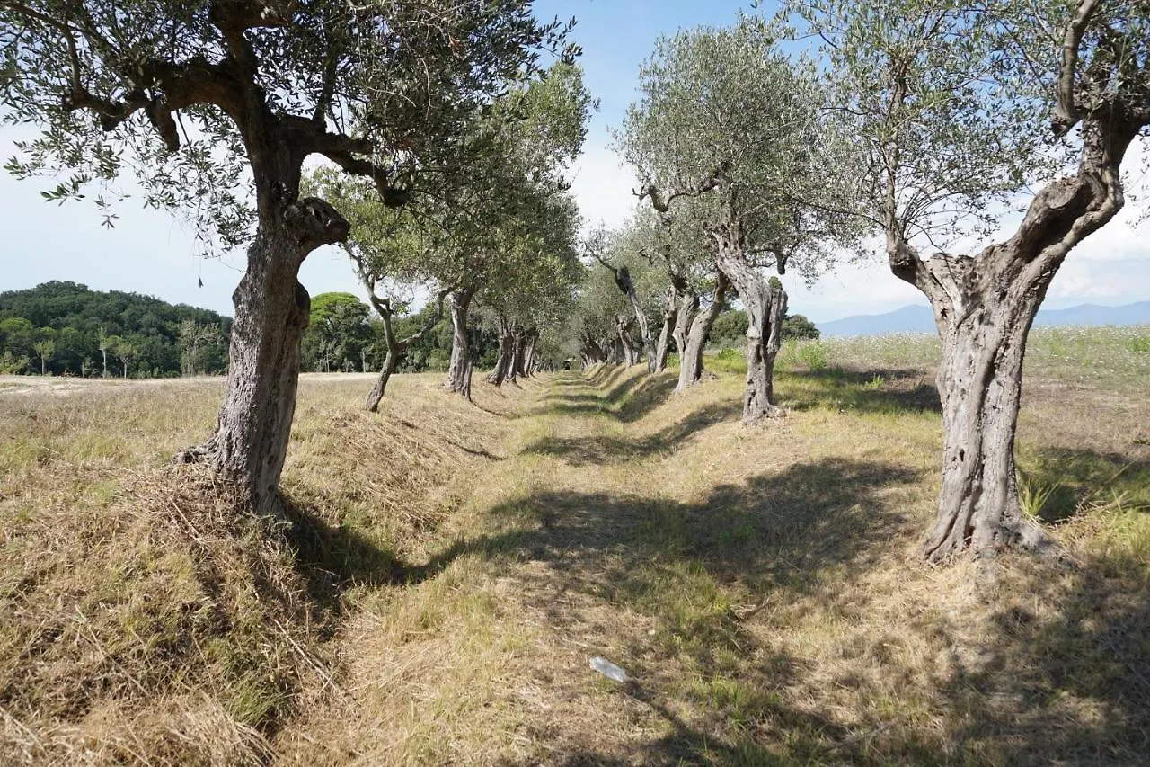 Vakantieboerderij Agriturismo Cheloni Guasticce Italië