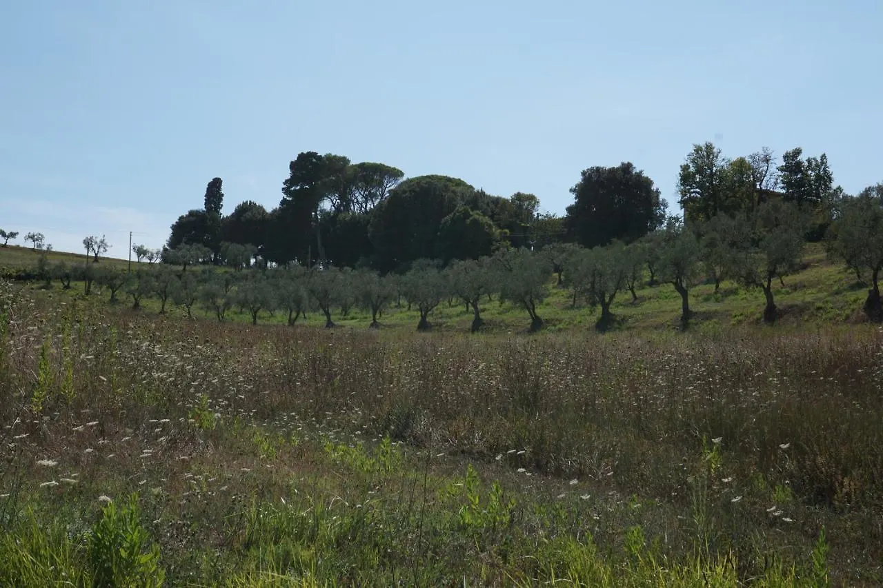 Farm stay Agriturismo Cheloni Guasticce