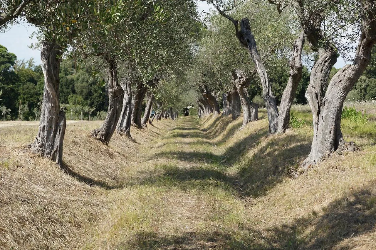 Agriturismo Cheloni Guasticce